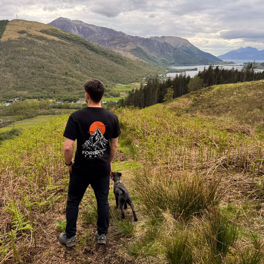 Man and dog standing on a grassy hill with mountains and a lake in the background